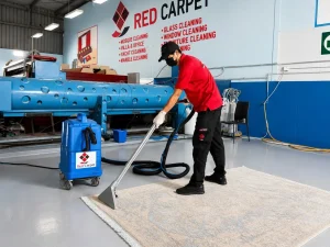 Professional carpet cleaning UAE